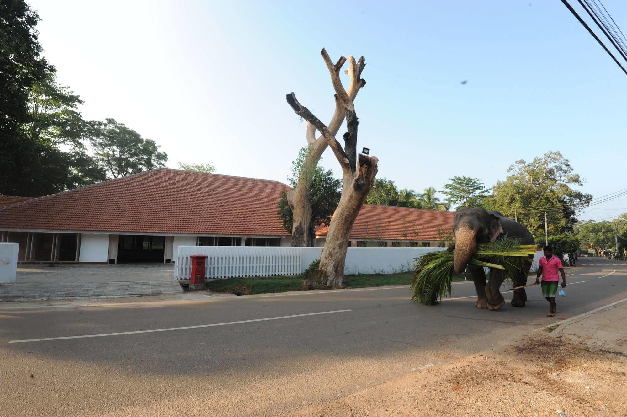 Hotel Ekho Sigiriya
